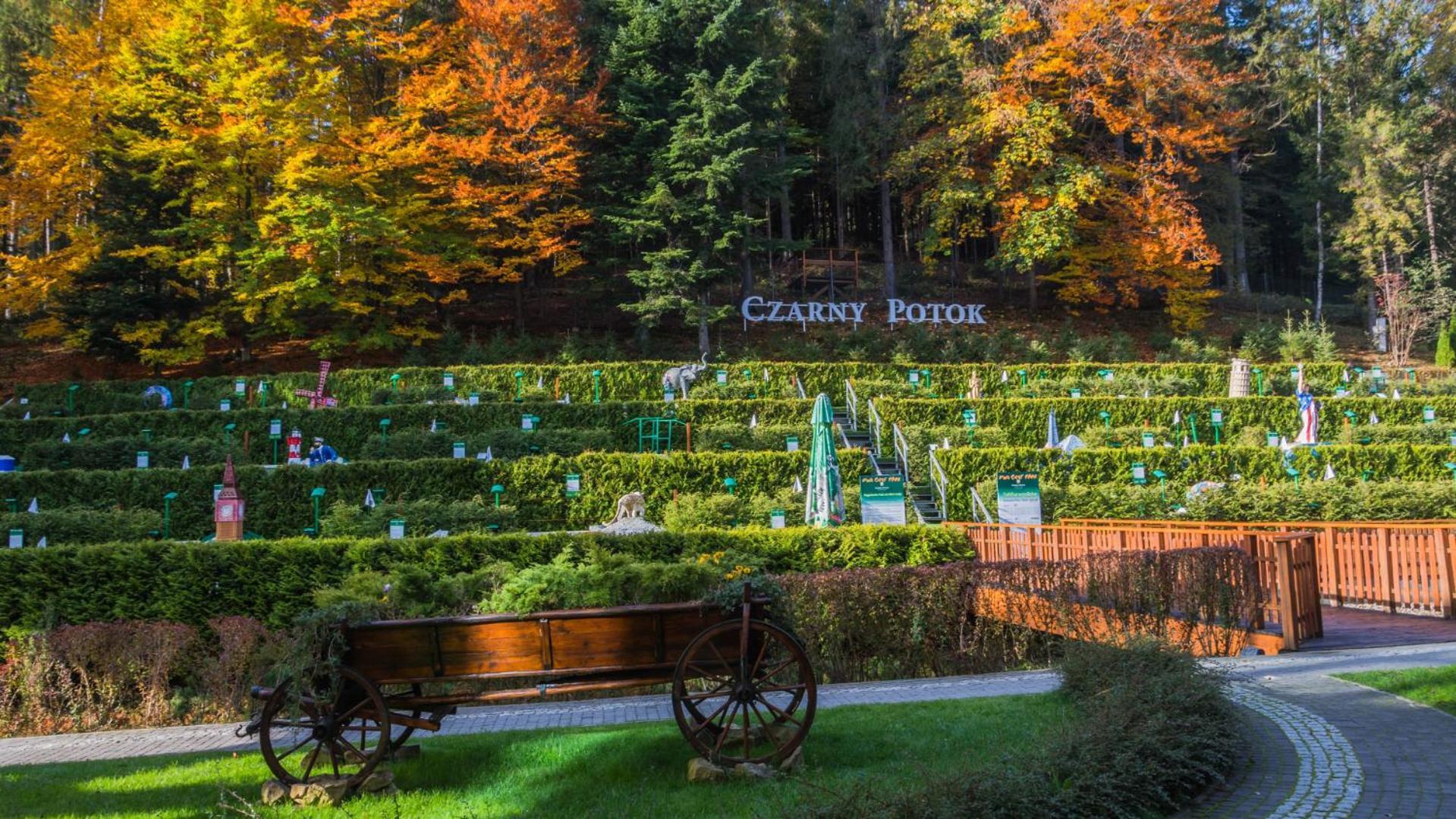 Hotel Czarny Potok Resort Spa & Conference Krynica Zdroj Eksteriør billede